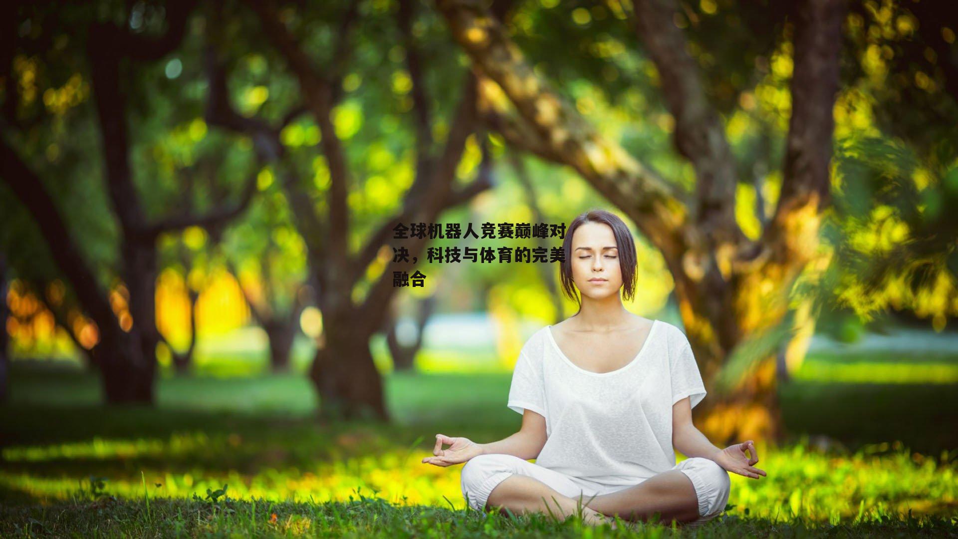 全球机器人竞赛巅峰对决，科技与体育的完美融合